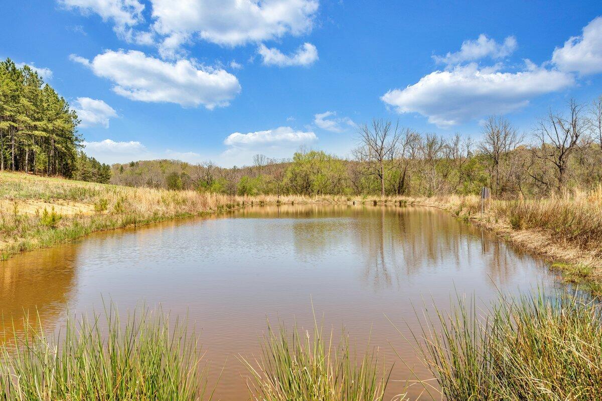 780 Adkins Road Penhook, VA 24137 - Photo 35 of 49