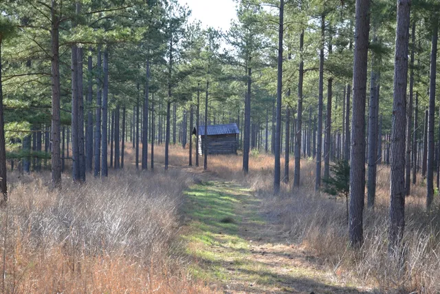 a view of outdoor space with deck