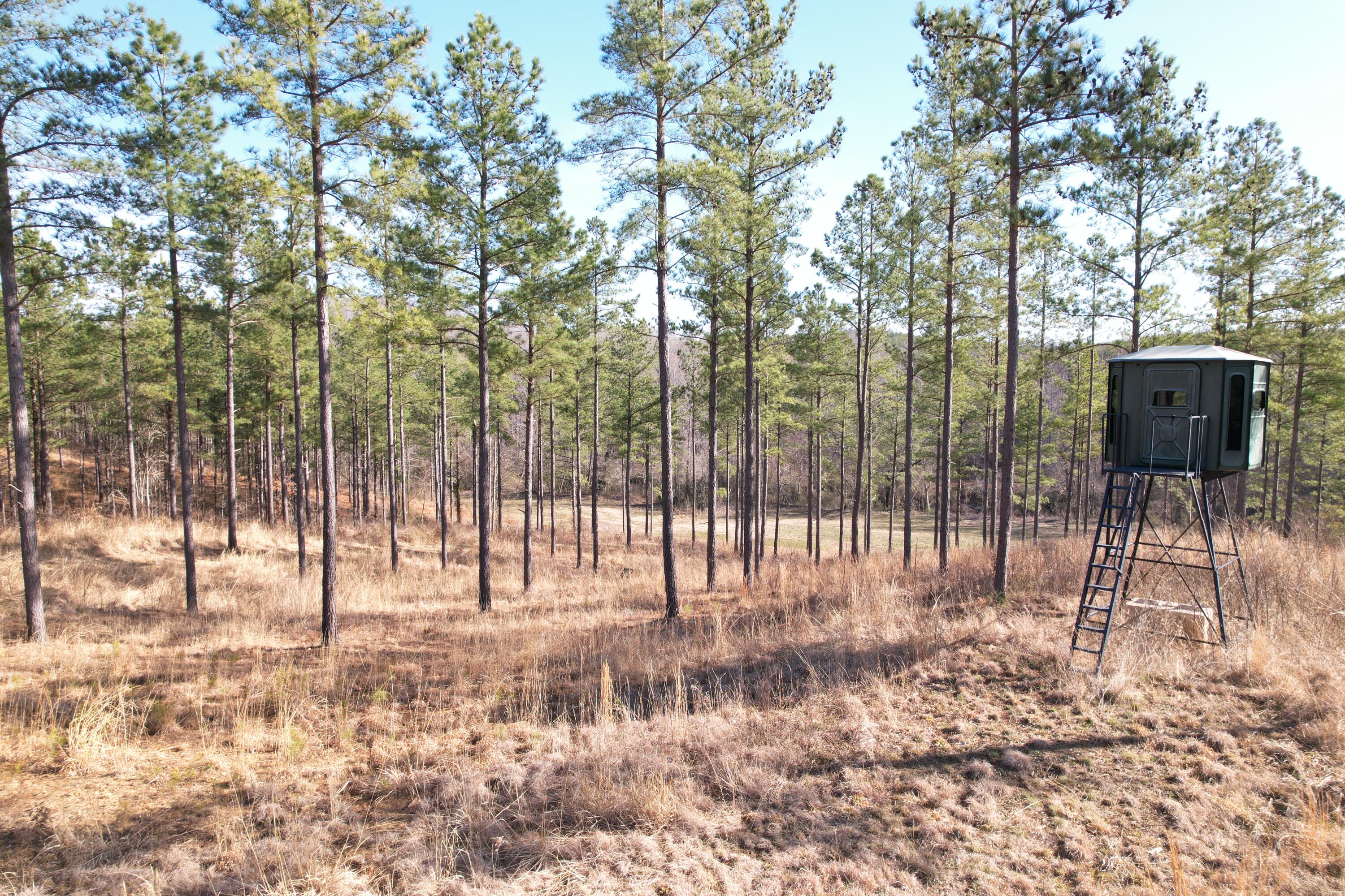 780 Adkins Road Penhook, VA 24137 - Photo 40 of 49 a view of a yard with a patio