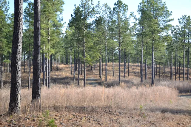 a view of water with a lake view