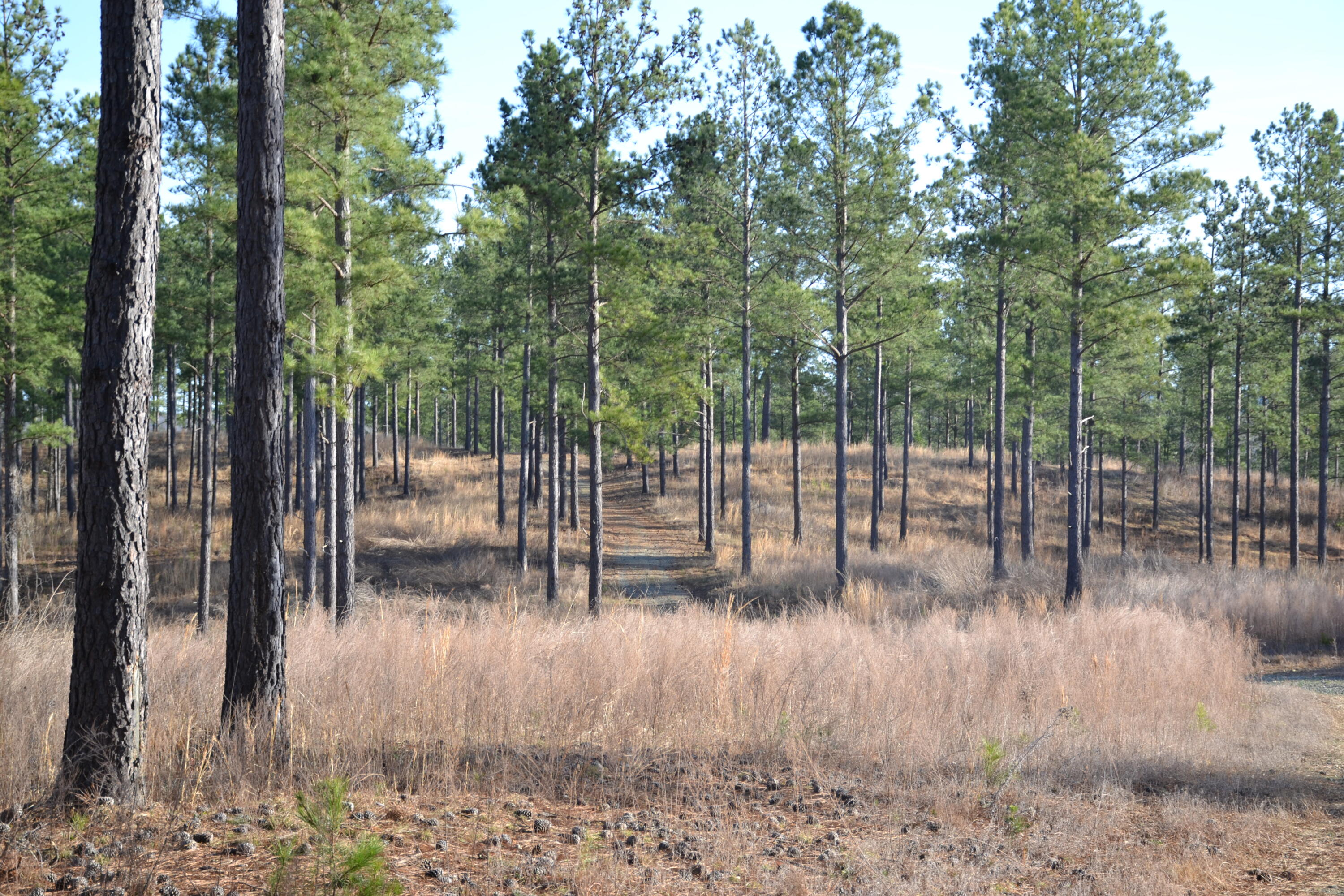 780 Adkins Road Penhook, VA 24137 - Photo 43 of 49 a view of water with a lake view