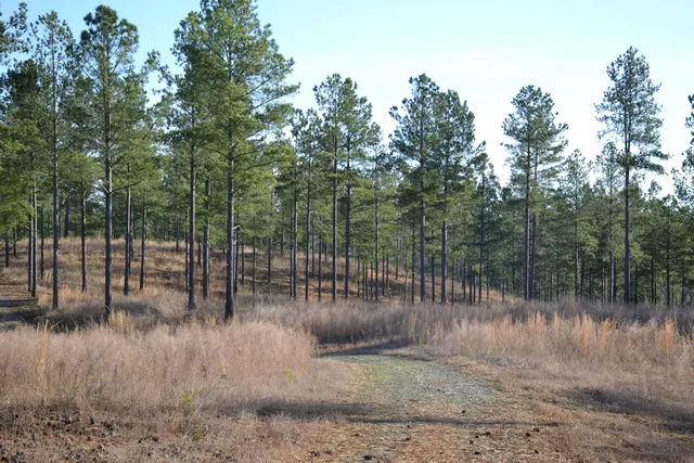 a view of a lake view with a entertaining space