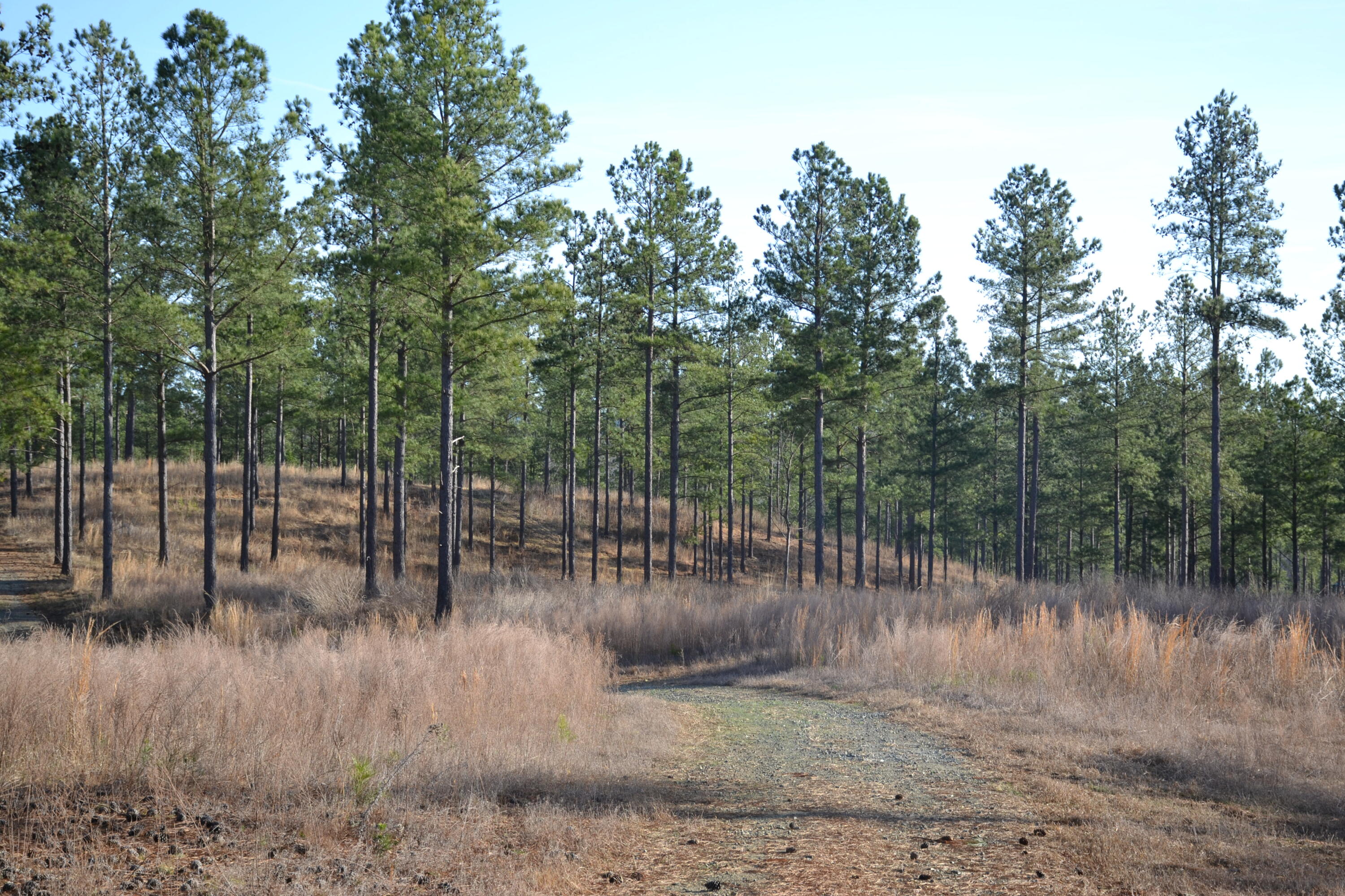 780 Adkins Road Penhook, VA 24137 - Photo 44 of 49 a view of a lake view with a entertaining space