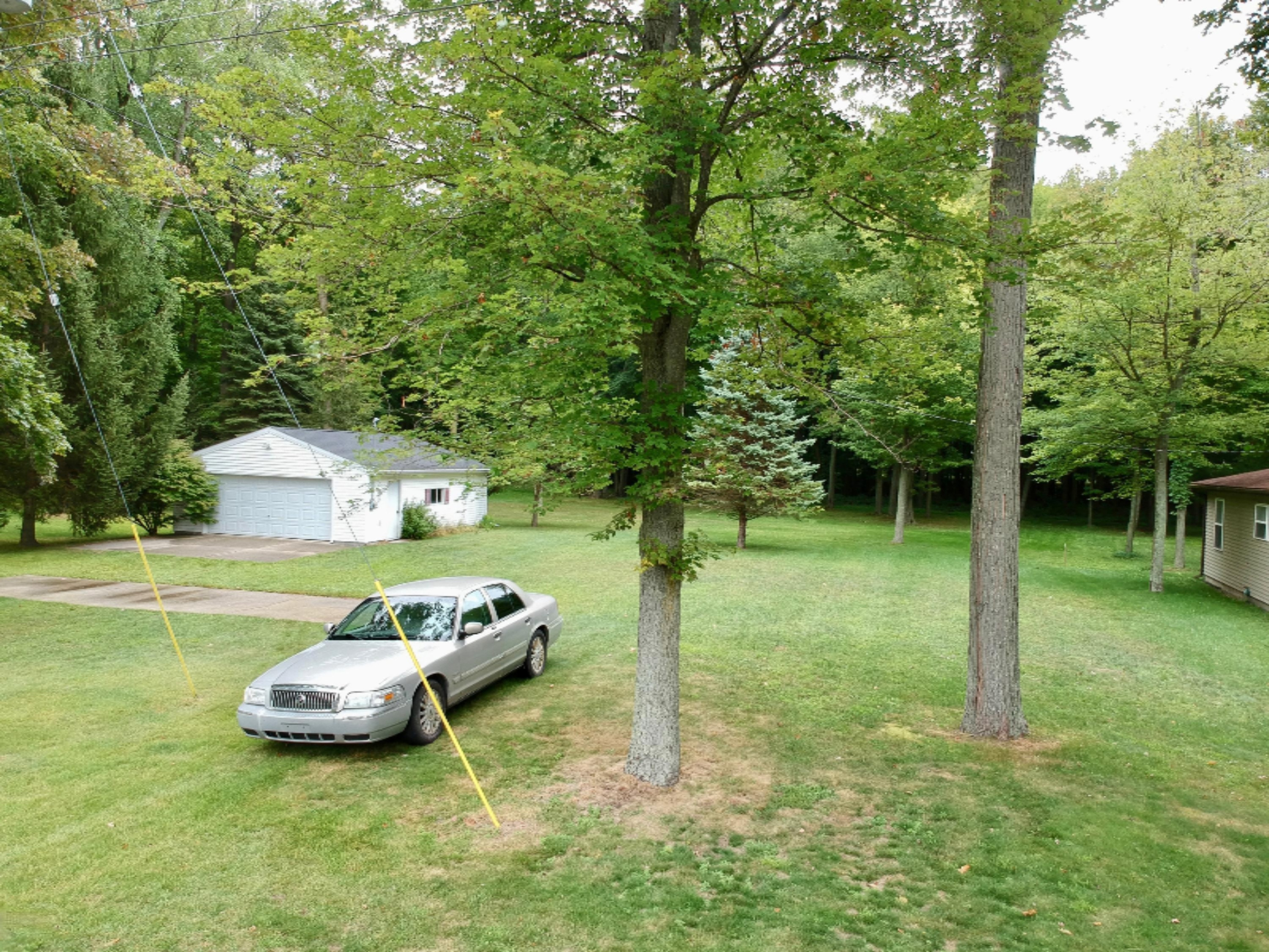 1508 Shepard Street Crystal, MI 48818 - Photo 99 of 116 DJI_0067