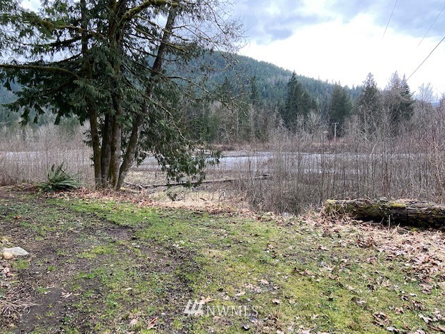 -xxx Mosquito Lake Road Deming, WA 98244 - Photo 3 of 7 Gallery Image 3