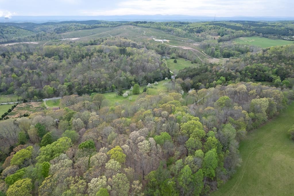 180 Shoemaker Lane Decatur, TN 37322 - Photo 66 of 70 Gallery Image 66