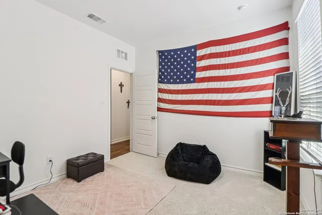 a cat sitting in a chair and a chair in a room