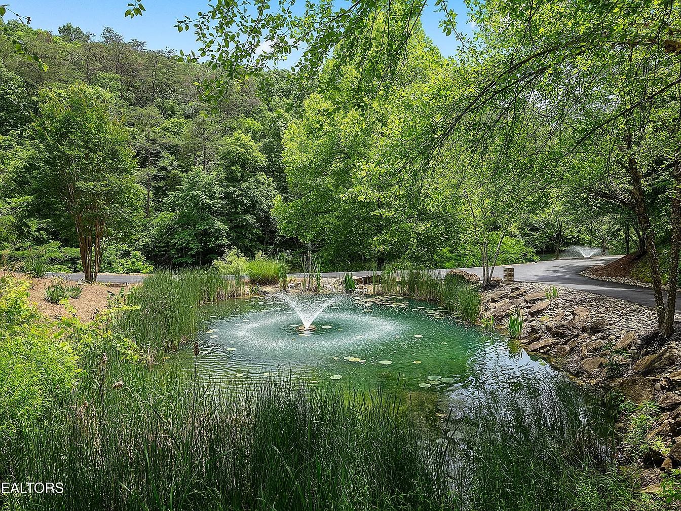 255 Villa Segrata North Ridge Road Sevierville, TN 37876 - Photo 16 of 78 a view of outdoor space and yard