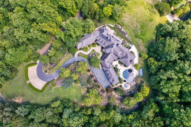 a view of a garden with plants