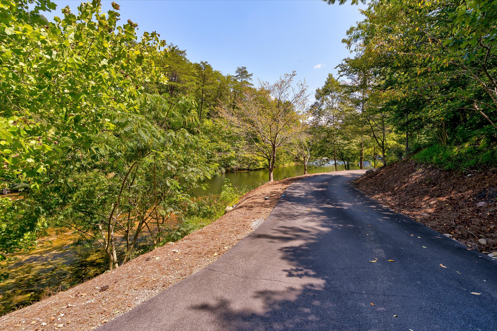 255 Villa Segrata North Ridge Road Sevierville, TN 37876 - Photo 6 of 78 a view of a pathway both side of yard