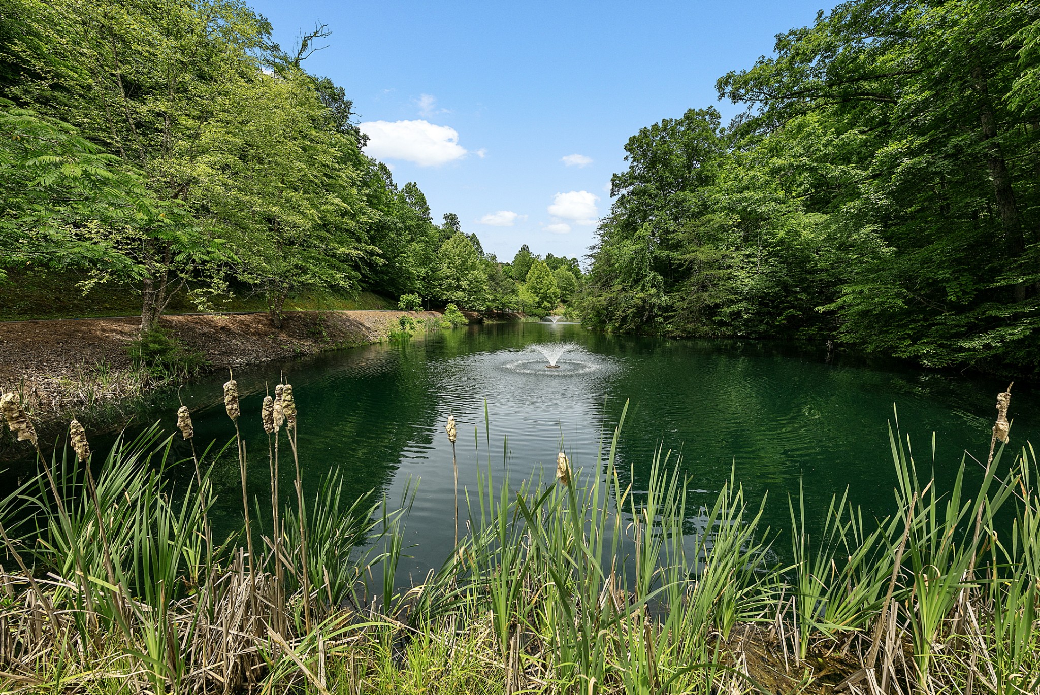 255 Villa Segrata North Ridge Road Sevierville, TN 37876 - Photo 7 of 78