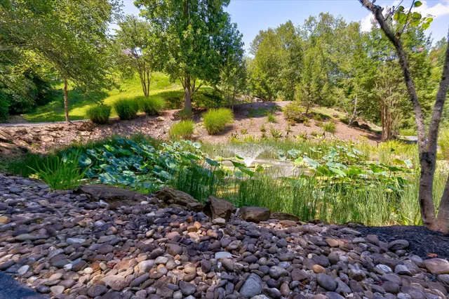 a porch with a table and chairs and potted plants