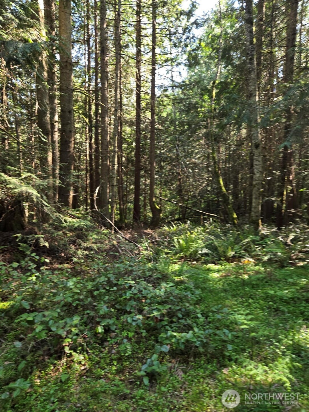 146 Humble Hill Road Sequim, WA 98382 - Photo 2 of 9