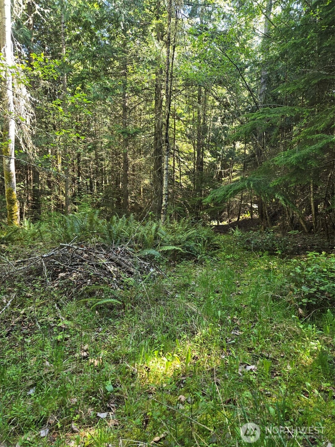146 Humble Hill Road Sequim, WA 98382 - Photo 4 of 9