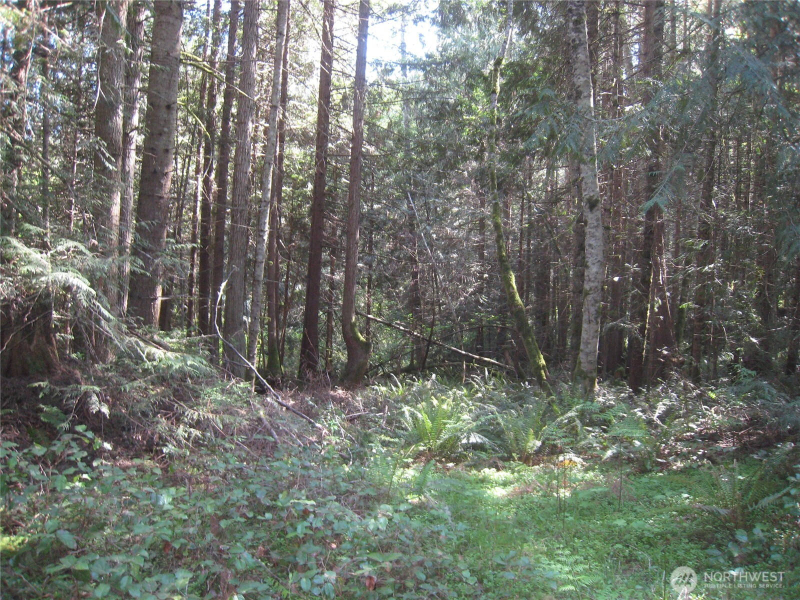 146 Humble Hill Road Sequim, WA 98382 - Photo 5 of 9