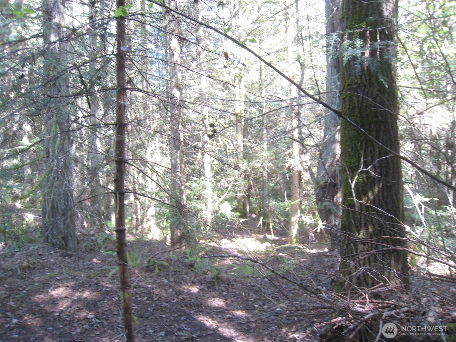 146 Humble Hill Road Sequim, WA 98382 - Photo 8 of 9