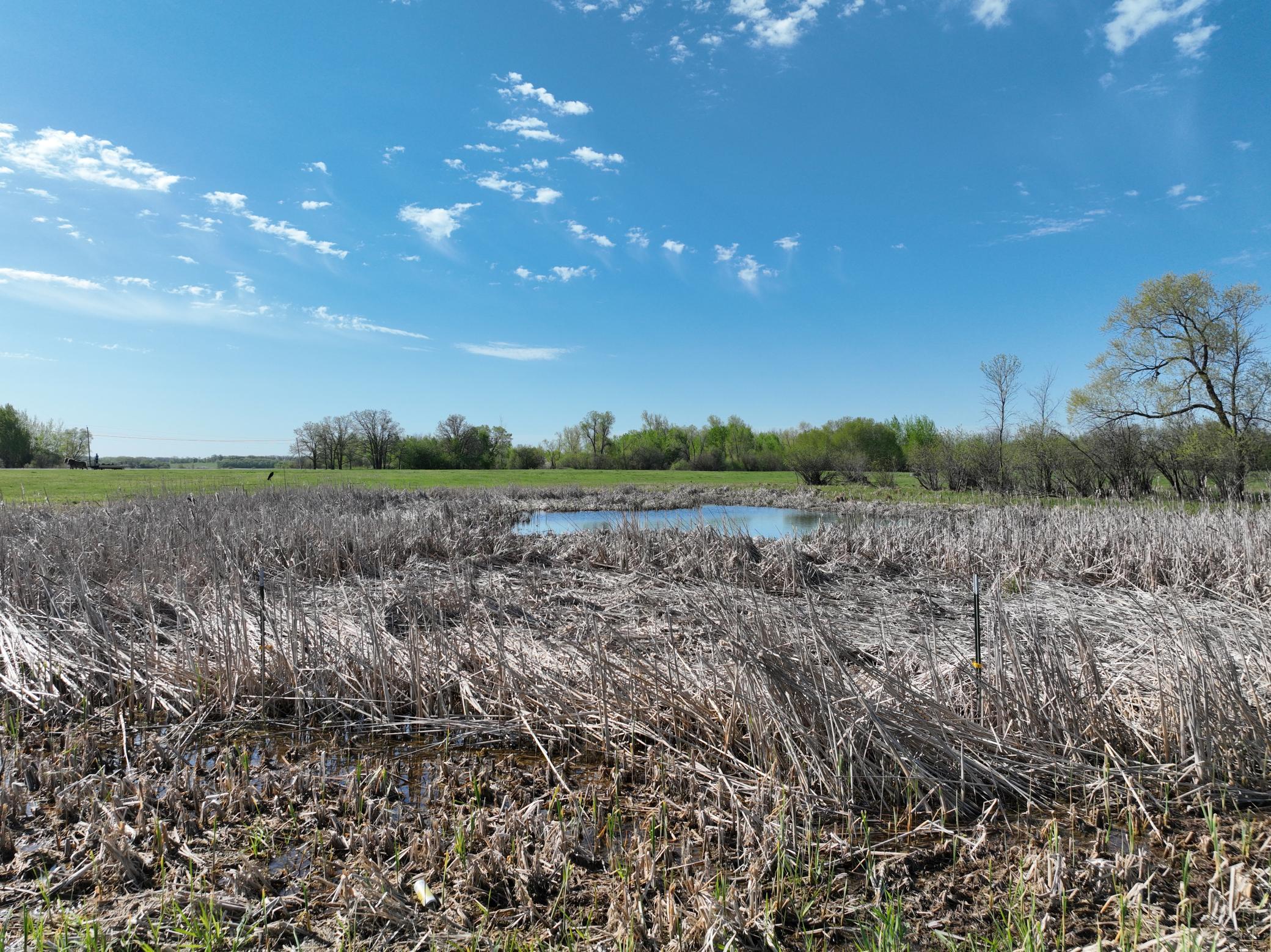 0 290th Avenue Southwest Long Prairie, MN 56347 - Photo 7 of 8
