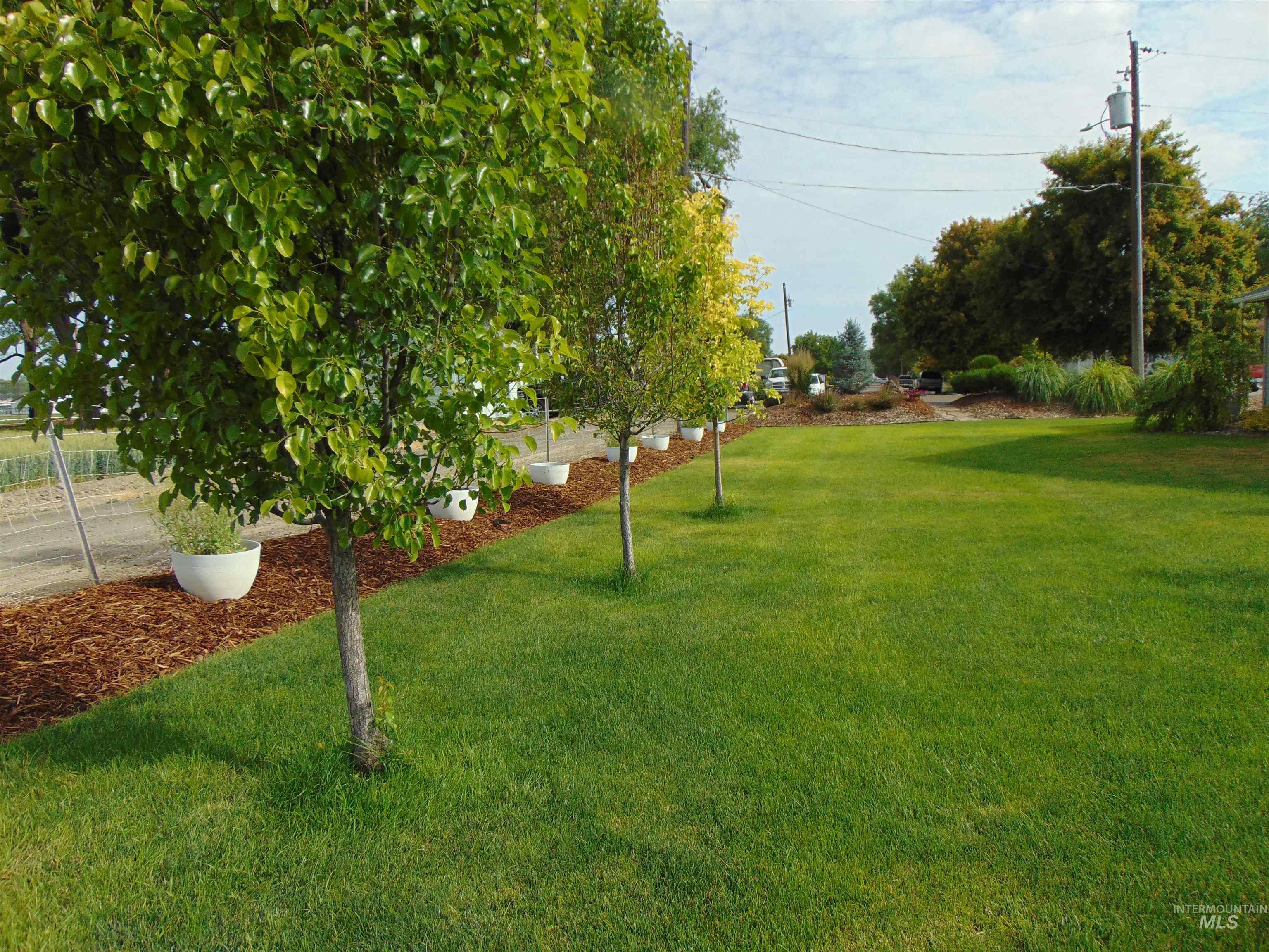 983 South Street Vale, OR 97918 - Photo 36 of 36 View of green lawn
