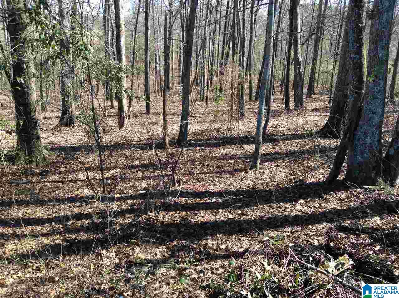 0 Coats Bend Road, Unit 1 Gadsden, AL 35901 - Photo 12 of 20