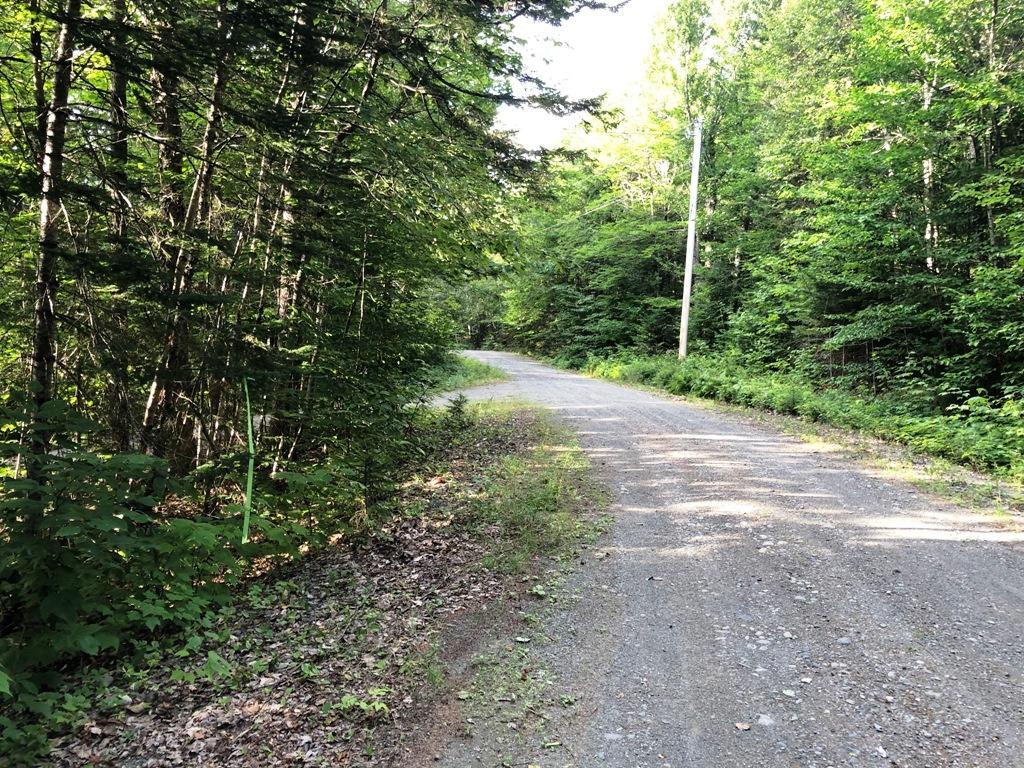 Tbd Partridge Pass Road Greenville, ME 04441 - Photo 22 of 43 IMG_2201