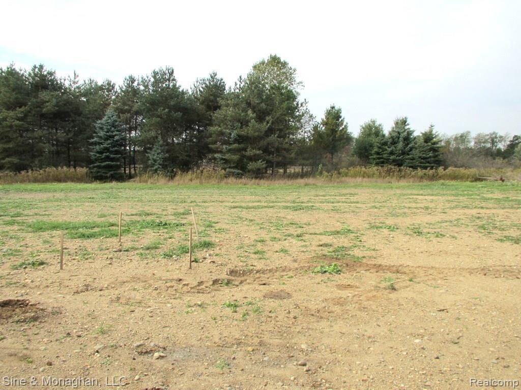 9663 Ellis Road Clarkston, MI 48348 - Photo 34 of 35 Awesome views