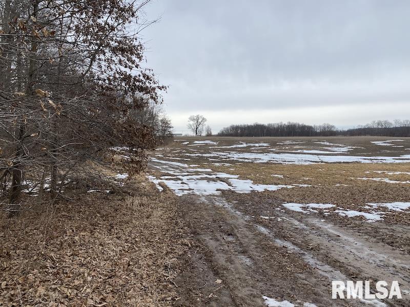 0 Th Casey, IL 62420 - Photo 23 of 55 Gallery Image 23