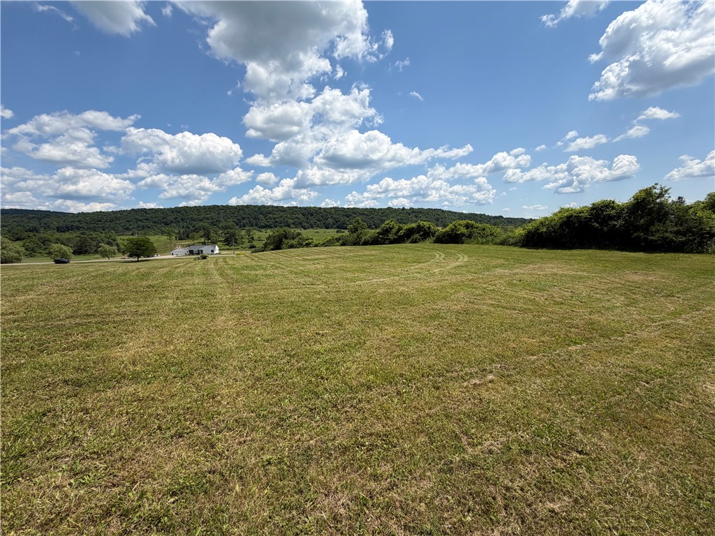 Middle Road Horseheads, NY 14845 - Photo 9 of 12