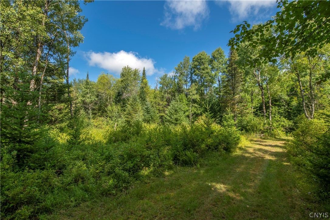 461 Billy Hamlin Road Ohio, NY 13324 - Photo 41 of 49 Gallery Image 41