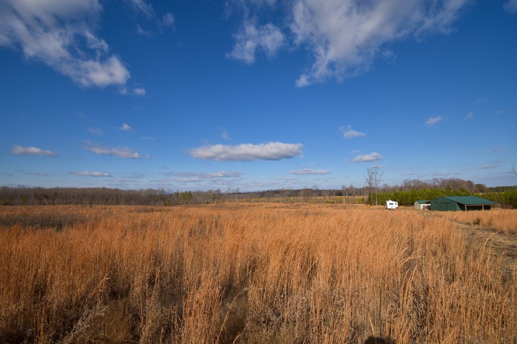 Old Jones Road Dillwyn, VA 23936 - Photo 5 of 13 Gallery Image 5