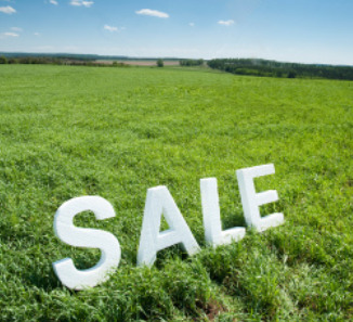 Lot 10 West Kentucky Road Beecher, IL 60401 - Photo 1 of 3