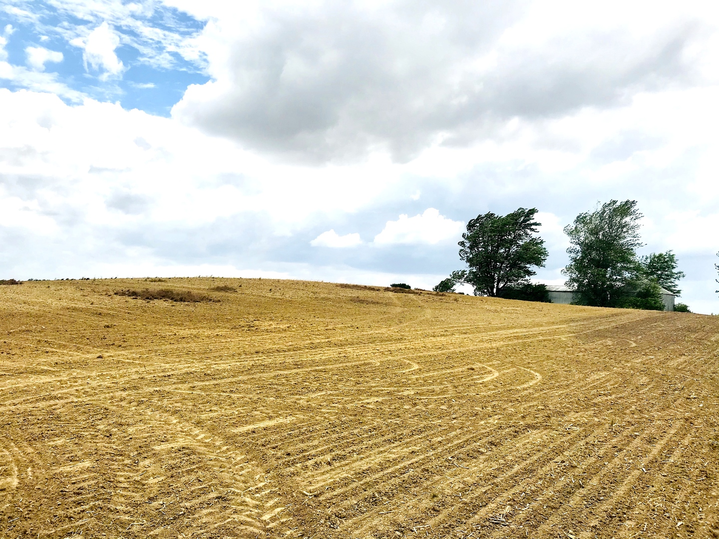 Lot 10 West Kentucky Road Beecher, IL 60401 - Photo 3 of 3