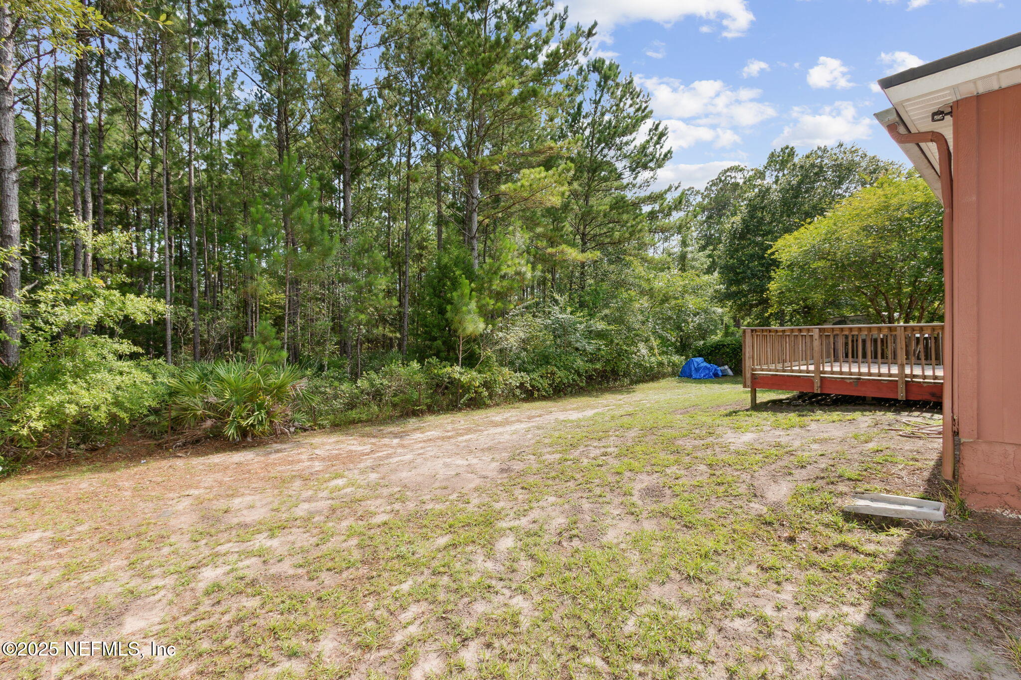 8740 Springtree Road Jacksonville, FL 32210 - Photo 44 of 44 45-web-or-mls-8740 Springtree Rd-45