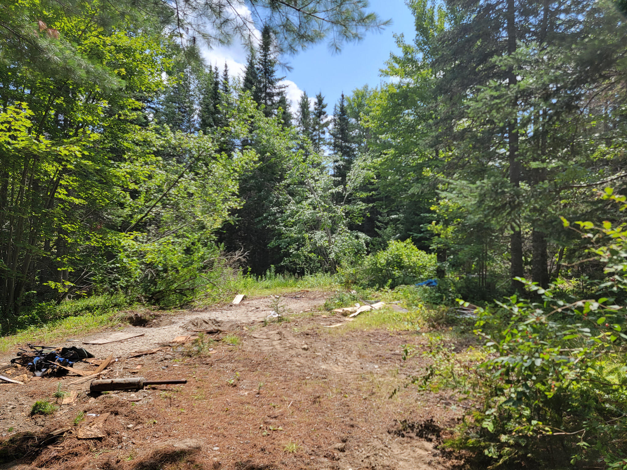 Lot 2 Old Winn Road Springfield, ME 04487 - Photo 11 of 12 20230725_122839