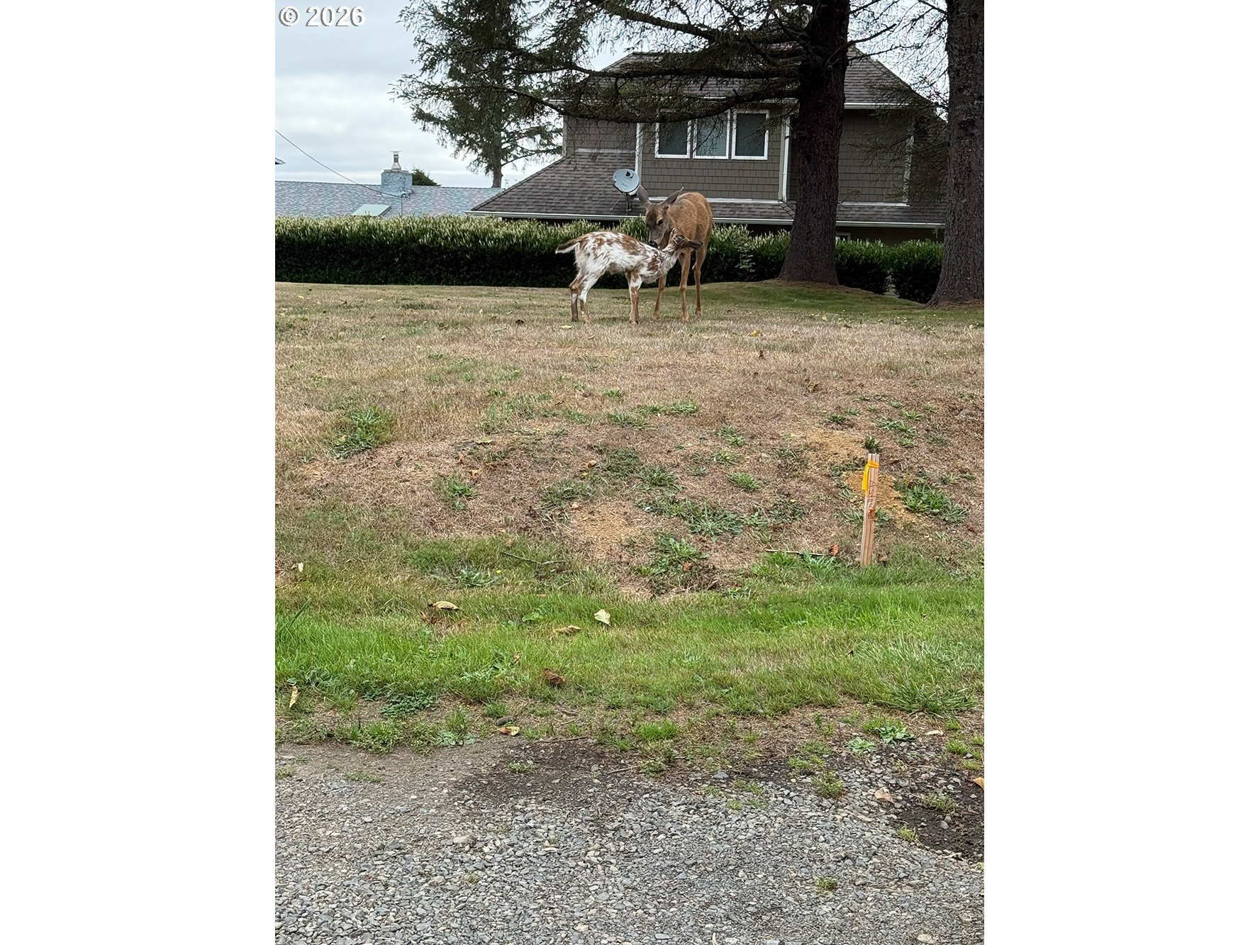 6600 Northeast Jones Loop Neotsu, OR 97364 - Photo 4 of 4