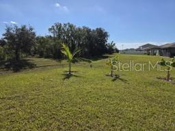 12588 Timber Moss Lane Riverview, FL 33579 - Photo 10 of 10