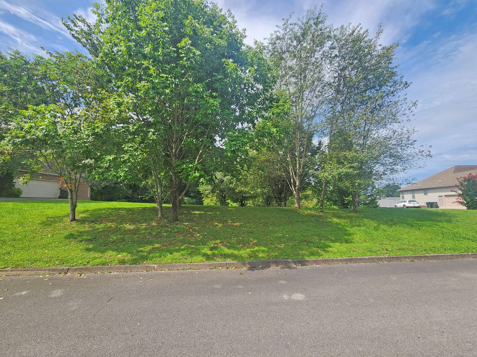 8 Riceland Drive Sevierville, TN 37862 - Photo 15 of 16 a green field with lots of trees in it