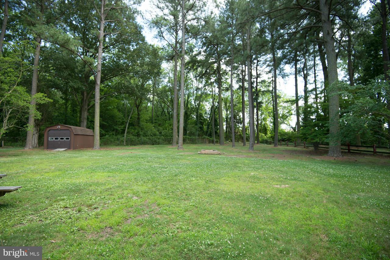 18 Algonquin Road Cambridge, MD 21613 - Photo 26 of 28 Exterior (Rear)