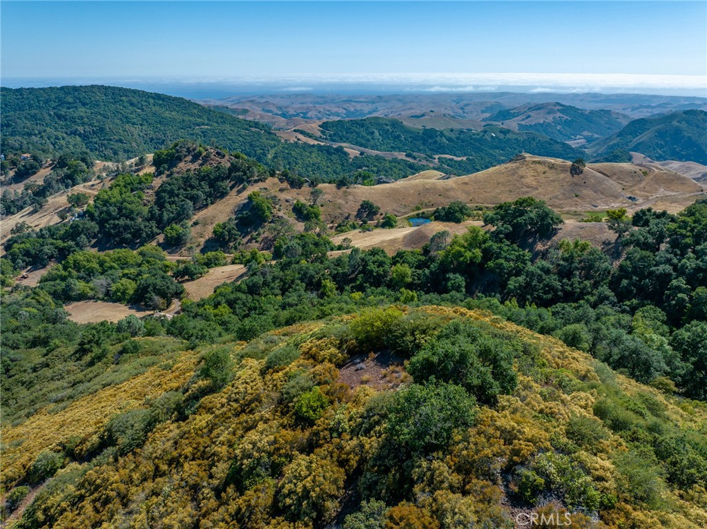 3265 Cypress Mountain Road Templeton, CA 93465 - Photo 24 of 32 an aerial view of residential houses with outdoor space and trees