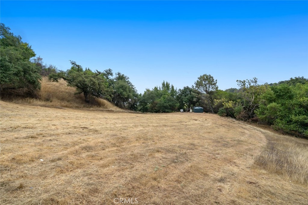 3265 Cypress Mountain Road Templeton, CA 93465 - Photo 26 of 32 Side yard