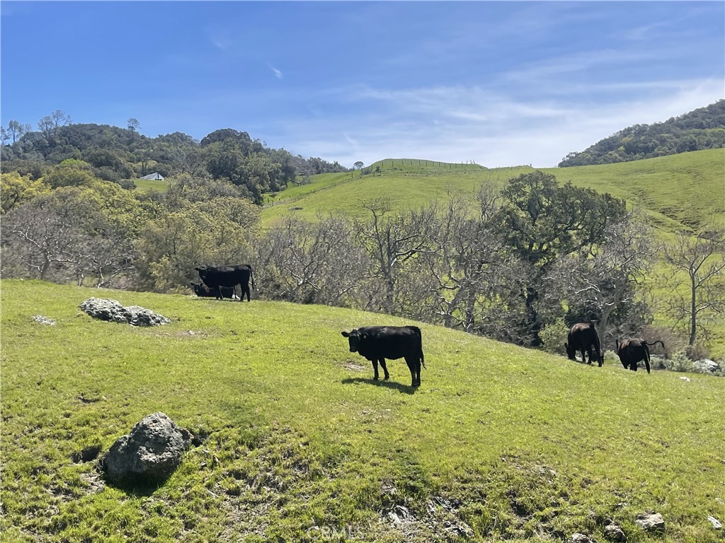 3265 Cypress Mountain Road Templeton, CA 93465 - Photo 31 of 32 neighboring ranch