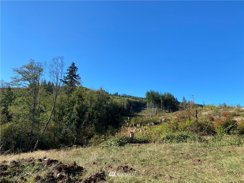 498 Inverness Road Woodland, WA 98674 - Photo 10 of 13 Gallery Image 10