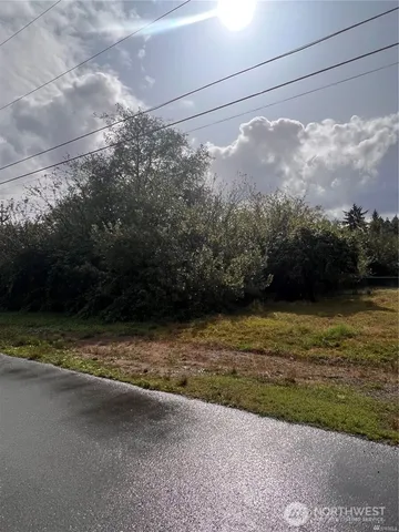 a view of a yard with a wooden fence