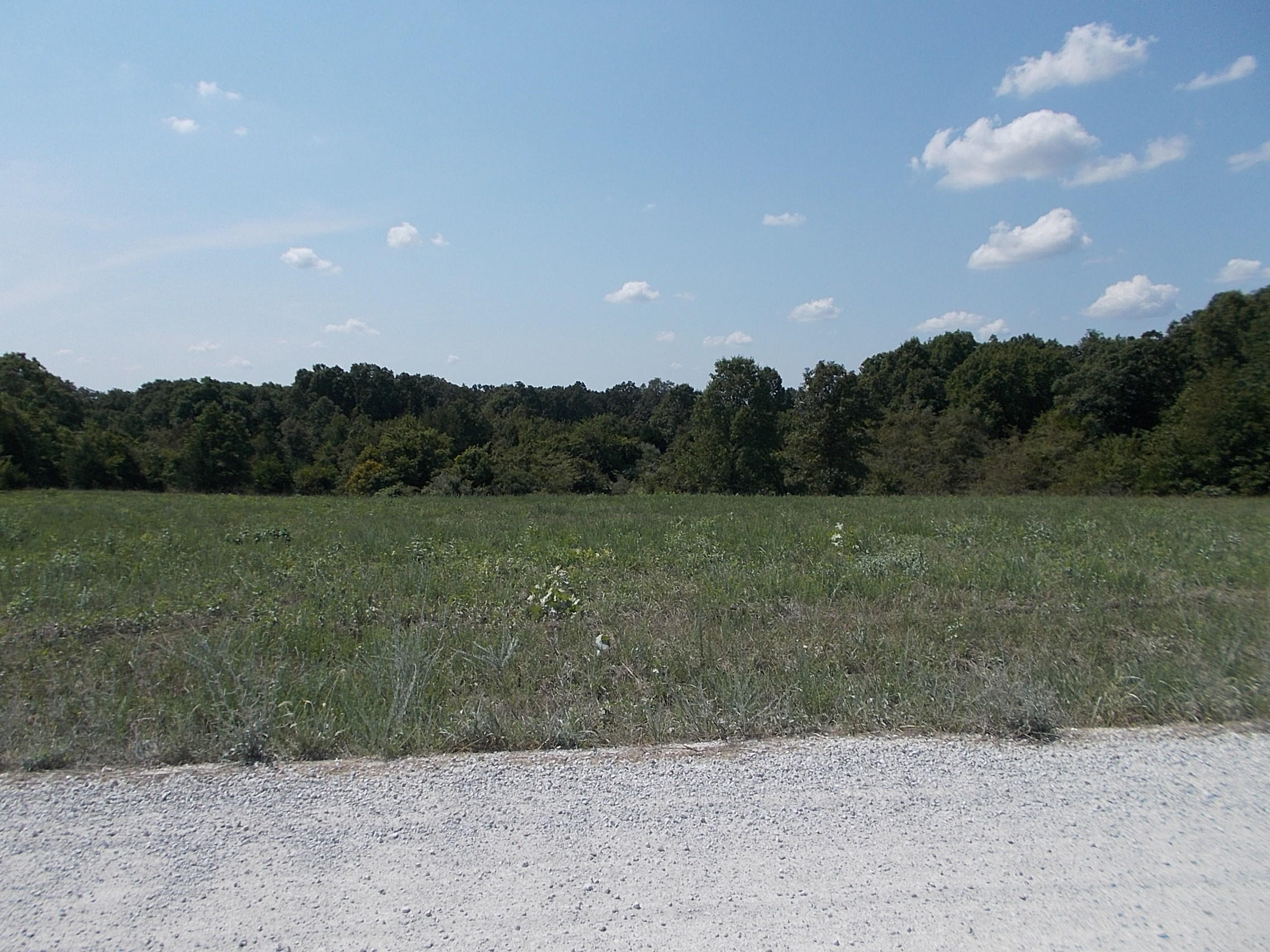 Tbd Hayes Road Buffalo, MO 65622 - Photo 1 of 1 1