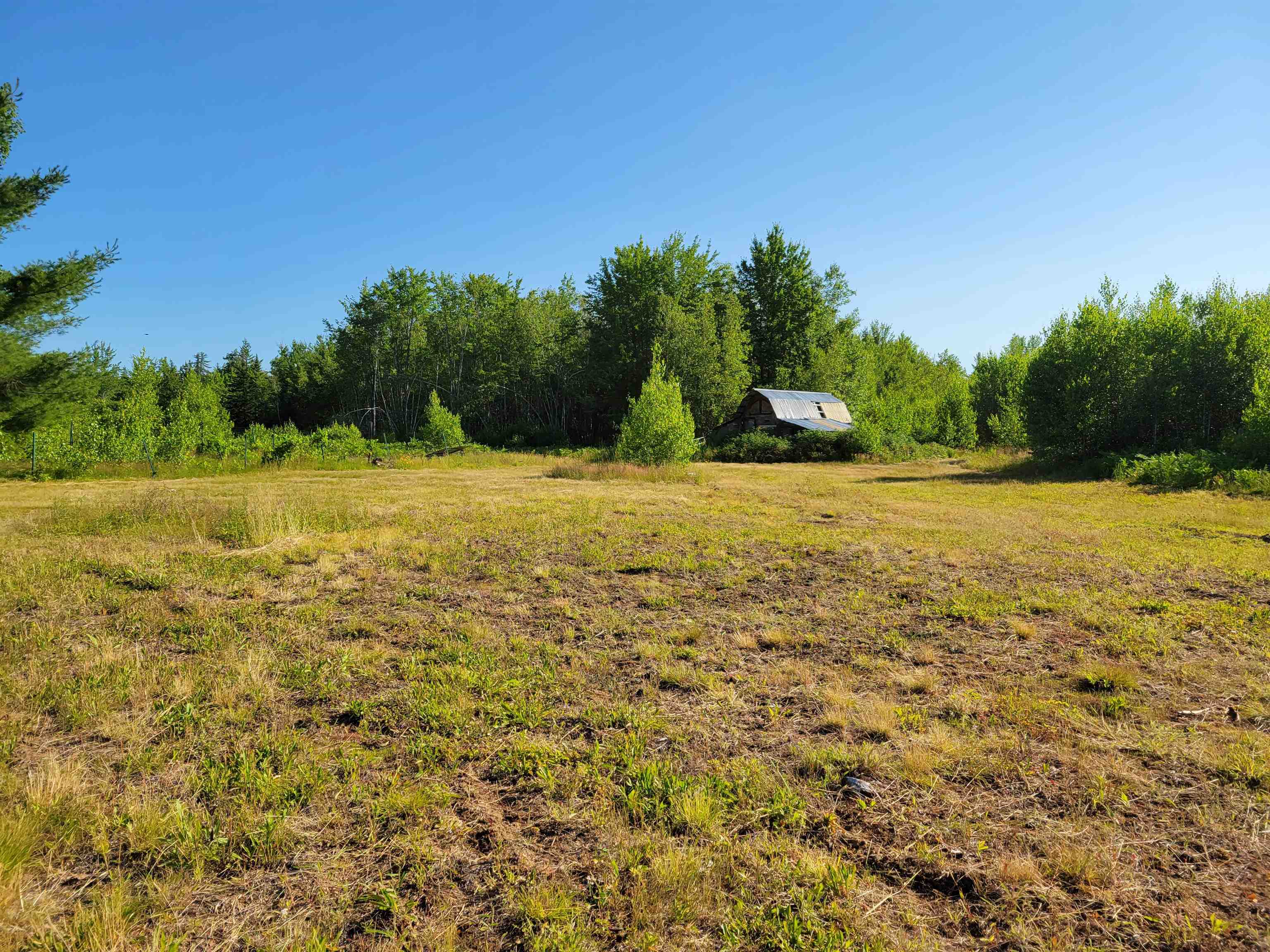 354 Garland Pit Road Conway, NH 03860 - Photo 4 of 24