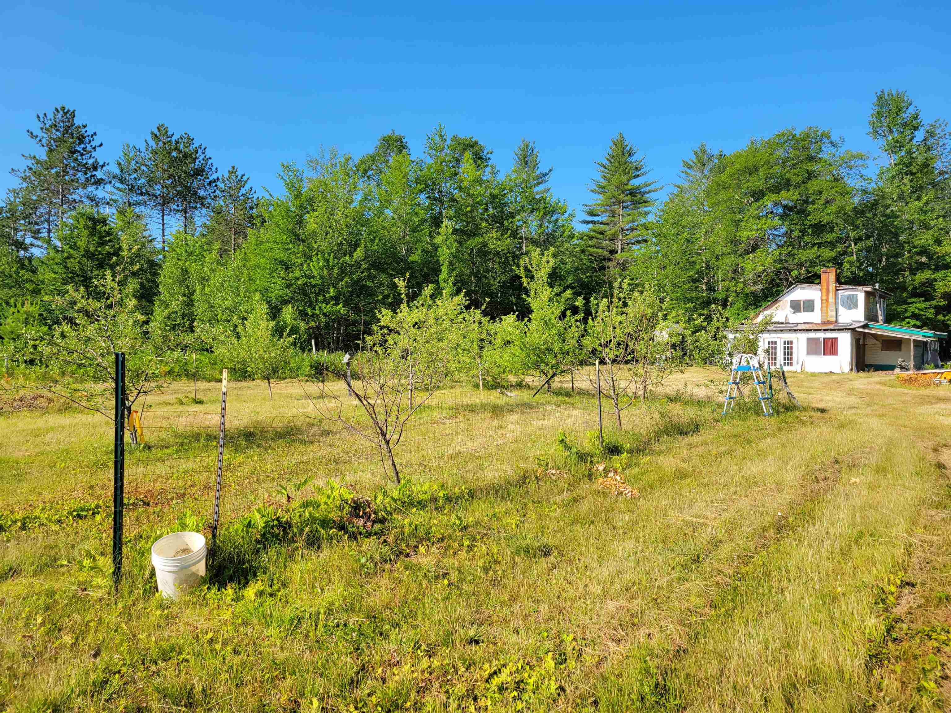 354 Garland Pit Road Conway, NH 03860 - Photo 6 of 24