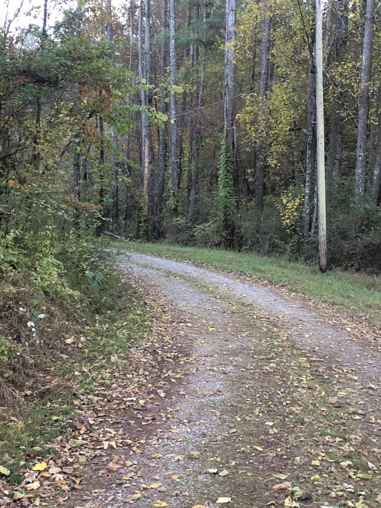 0 Doe Run Charleston, TN 37310 - Photo 1 of 6 doe run 1