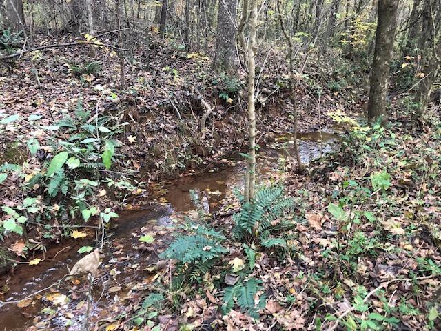 0 Doe Run Charleston, TN 37310 - Photo 5 of 6 Doe run 4