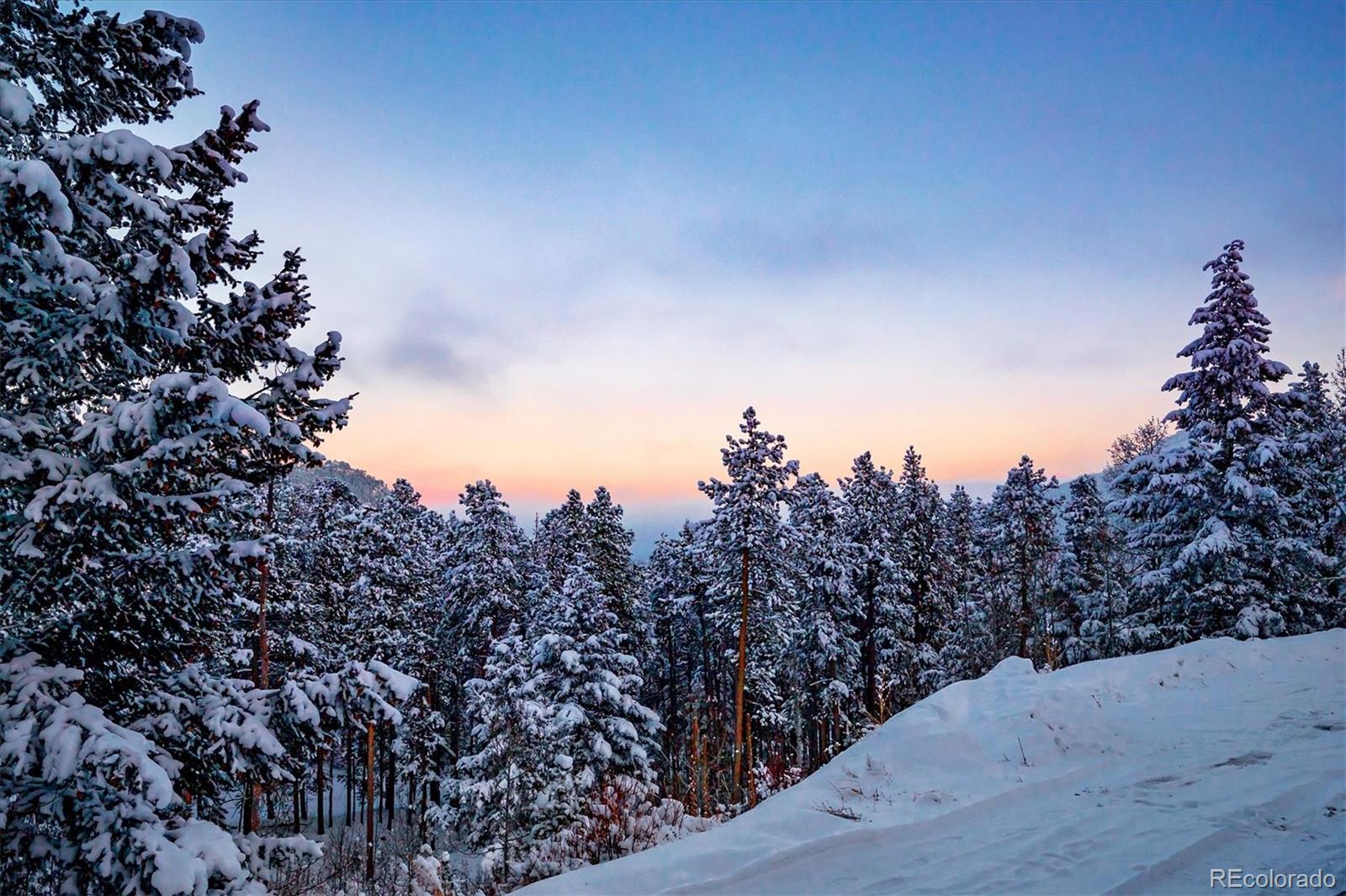 9055 Eagle Cliff Road Conifer, CO 80433 - Photo 35 of 39 a view of a covered with snow on the side of the road