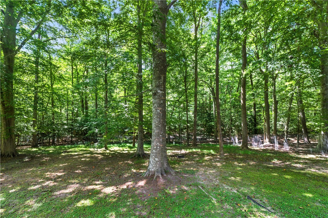 111 Braddock Road Williamsburg, VA 23185 - Photo 41 of 43 View of yard