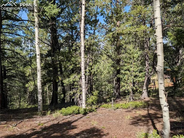 a view of outdoor space with trees
